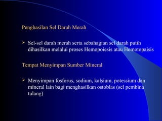 Penghasilan Sel Darah Merah
 Sel-sel darah merah serta sebahagian sel darah putih
dihasilkan melalui proses Hemopoiesis atau Hemotopaisis
Tempat Menyimpan Sumber Mineral
 Menyimpan fosforus, sodium, kalsium, potessium dan
mineral lain bagi menghasilkan ostoblas (sel pembina
tulang)
 