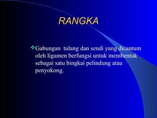 RANGKARANGKA
Gabungan tulang dan sendi yang dicantum
oleh ligamen berfungsi untuk membentuk
sebagai satu bingkai pelindung atau
penyokong.
 