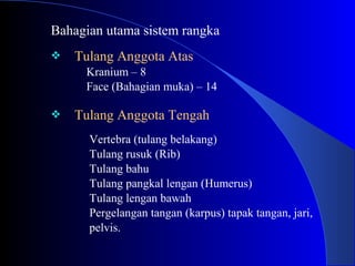 Bahagian utama sistem rangka
 Tulang Anggota Atas
Kranium – 8
Face (Bahagian muka) – 14
 Tulang Anggota Tengah
Vertebra (tulang belakang)
Tulang rusuk (Rib)
Tulang bahu
Tulang pangkal lengan (Humerus)
Tulang lengan bawah
Pergelangan tangan (karpus) tapak tangan, jari,
pelvis.
 