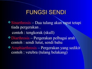 FUNGSI SENDIFUNGSI SENDI
Sinarthrosis – Dua tulang akan rapat tetapi
tiada pergerakan .
contoh : tengkorak (skull)
Diarthrosis – Pergerakan pelbagai arah
contoh : sendi lutut, sendi bahu
Amphiarthrosis – Pergerakan yang sedikit
contoh : vetebra (tulang belakang)
 