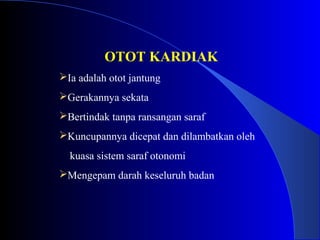 OTOT KARDIAK
Ia adalah otot jantung
Gerakannya sekata
Bertindak tanpa ransangan saraf
Kuncupannya dicepat dan dilambatkan oleh
kuasa sistem saraf otonomi
Mengepam darah keseluruh badan
 