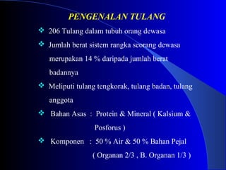 PENGENALAN TULANG
 206 Tulang dalam tubuh orang dewasa
 Jumlah berat sistem rangka seorang dewasa
merupakan 14 % daripada jumlah berat
badannya
 Meliputi tulang tengkorak, tulang badan, tulang
anggota
 Bahan Asas : Protein & Mineral ( Kalsium &
Posforus )
 Komponen : 50 % Air & 50 % Bahan Pejal
( Organan 2/3 , B. Organan 1/3 )
 