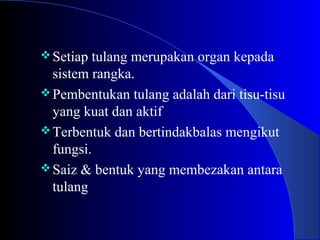 Setiap tulang merupakan organ kepada
sistem rangka.
Pembentukan tulang adalah dari tisu-tisu
yang kuat dan aktif
Terbentuk dan bertindakbalas mengikut
fungsi.
Saiz & bentuk yang membezakan antara
tulang
 