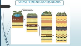 Bagaimana proses pembentukan batubara
