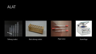 ALAT
Tabung reaksi Rak tabung reaksi Pipet tetes Sentrifuge
 