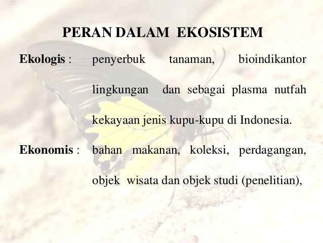 Perdagangan opsi kupu-kupu