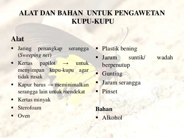 Perdagangan opsi kupu-kupu