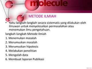METODE ILMIAH
• Yaitu langkah-langkah secara sistematis yang dilakukan oleh
ilmuwan untuk menyelesaikan permasalahan atau
menemukan ilmu pengetahuan.
langkah-langkah Metode Ilmiah
1. Menemukan masalah
2. Merumuskan masalah
3. Merumuskan hipotesis
4. Melakukan penelitian
5. Mengolah data
6. Membuat laporan Publikasi
 