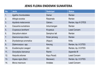 Pengenalan Flora Fauna Endemik Sumatera | PDF