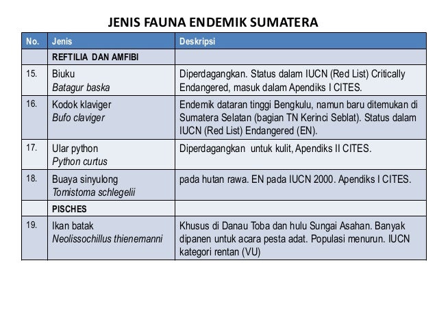 Pengenalan Flora Fauna Endemik Sumatera