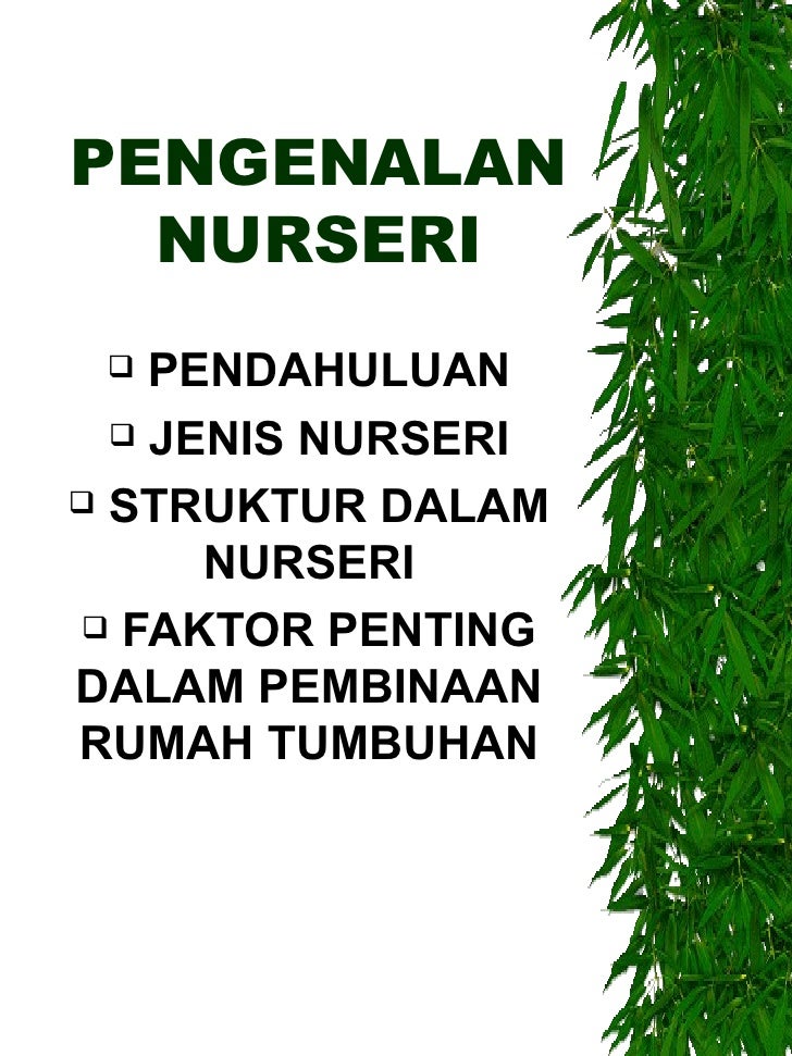 Pengenalan Kepada Nurseri