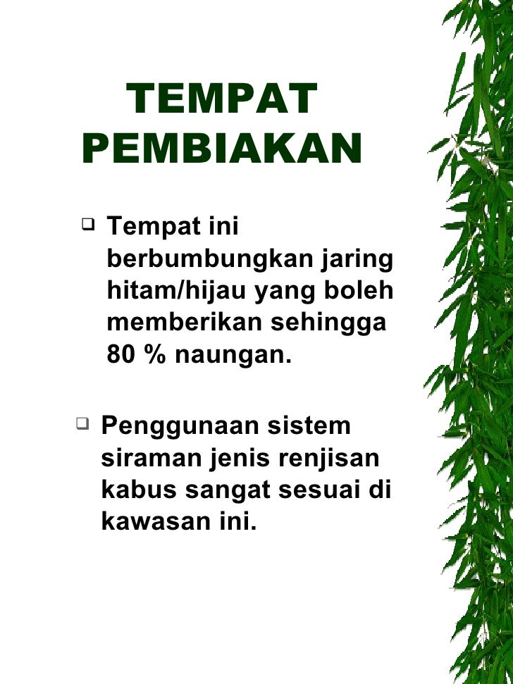 Pengenalan Kepada Nurseri
