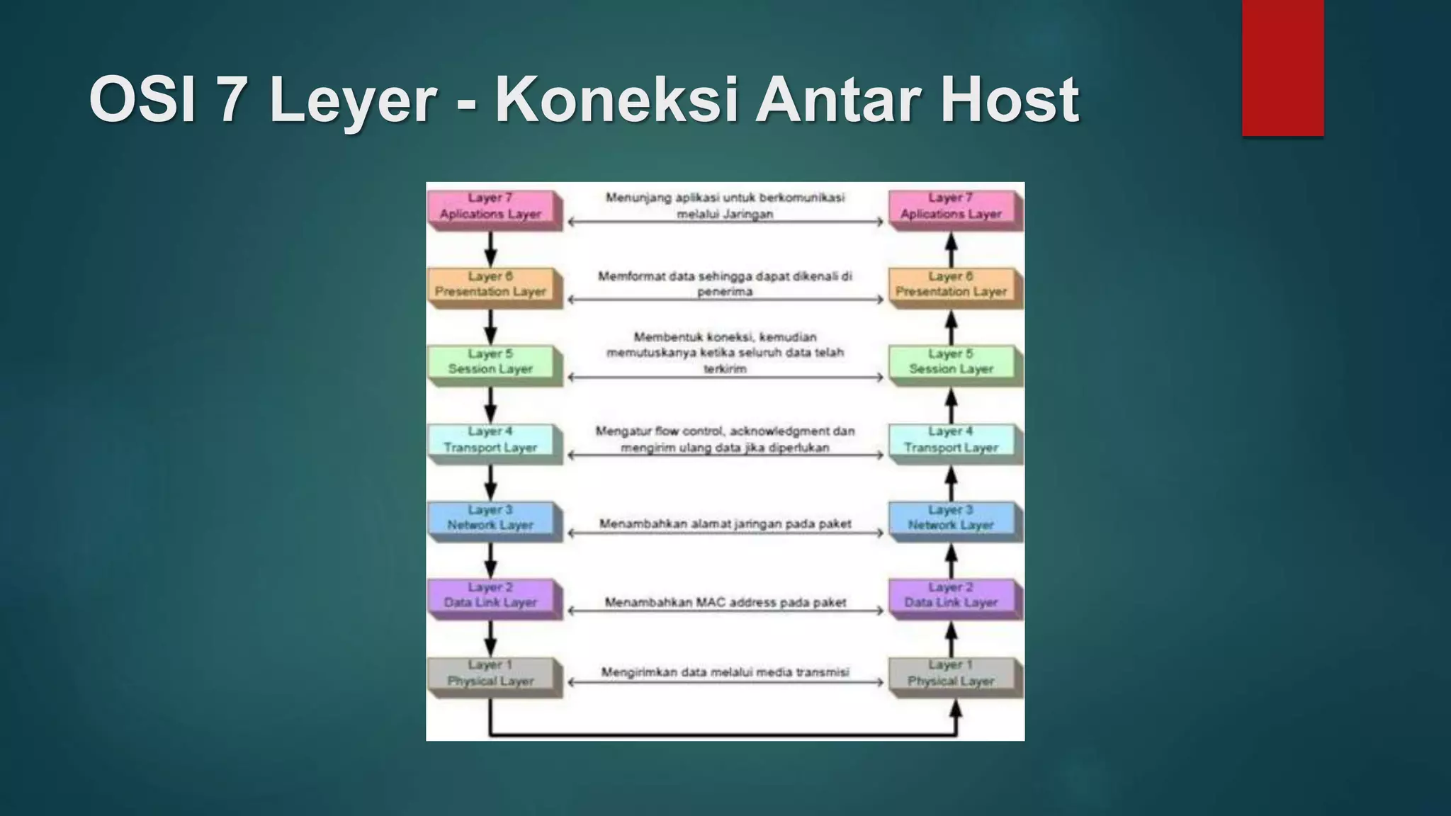 OSI 7 Leyer - Koneksi Antar Host
 