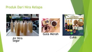 Produk Dari Nira Kelapa
Cuka
Gula Merah
Air Nira
Segar
 