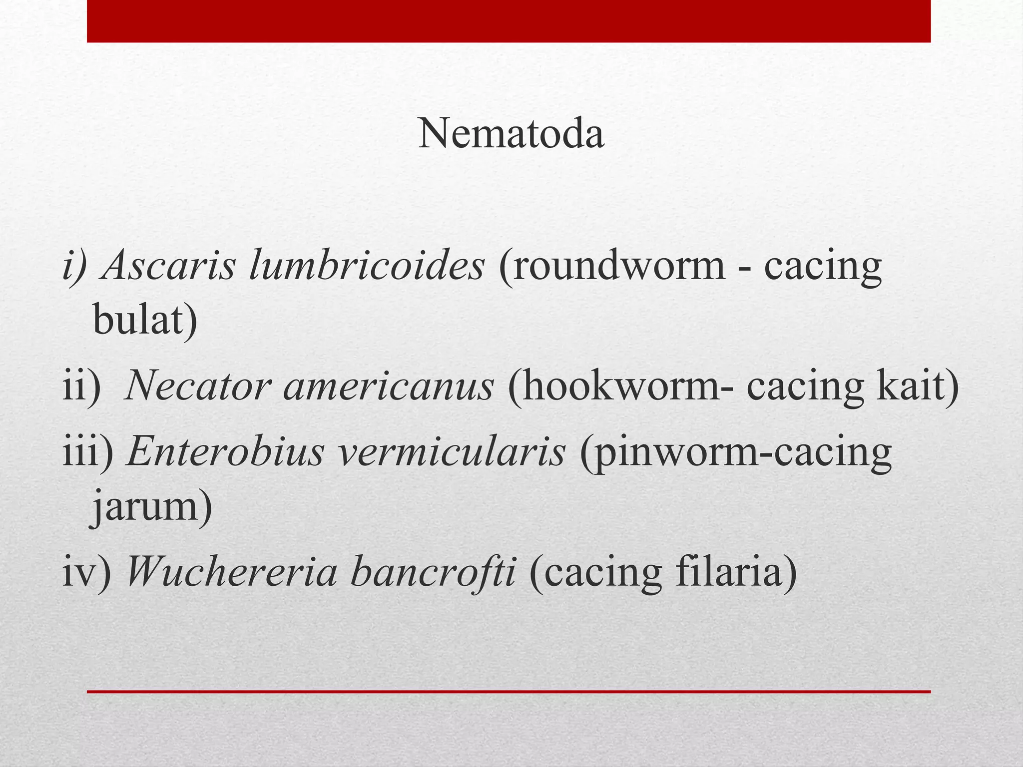 Nematoda
i) Ascaris lumbricoides (roundworm - cacing
bulat)
ii) Necator americanus (hookworm- cacing kait)
iii) Enterobius vermicularis (pinworm-cacing
jarum)
iv) Wuchereria bancrofti (cacing filaria)
 