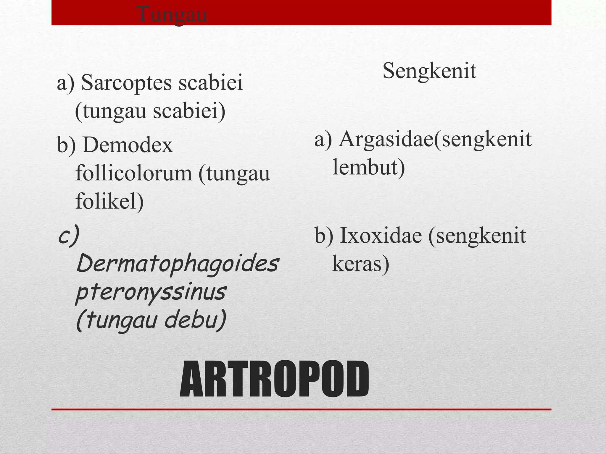 ARTROPOD
Tungau
a) Sarcoptes scabiei
(tungau scabiei)
b) Demodex
follicolorum (tungau
folikel)
c)
Dermatophagoides
pteronyssinus
(tungau debu)
Sengkenit
a) Argasidae(sengkenit
lembut)
b) Ixoxidae (sengkenit
keras)
 