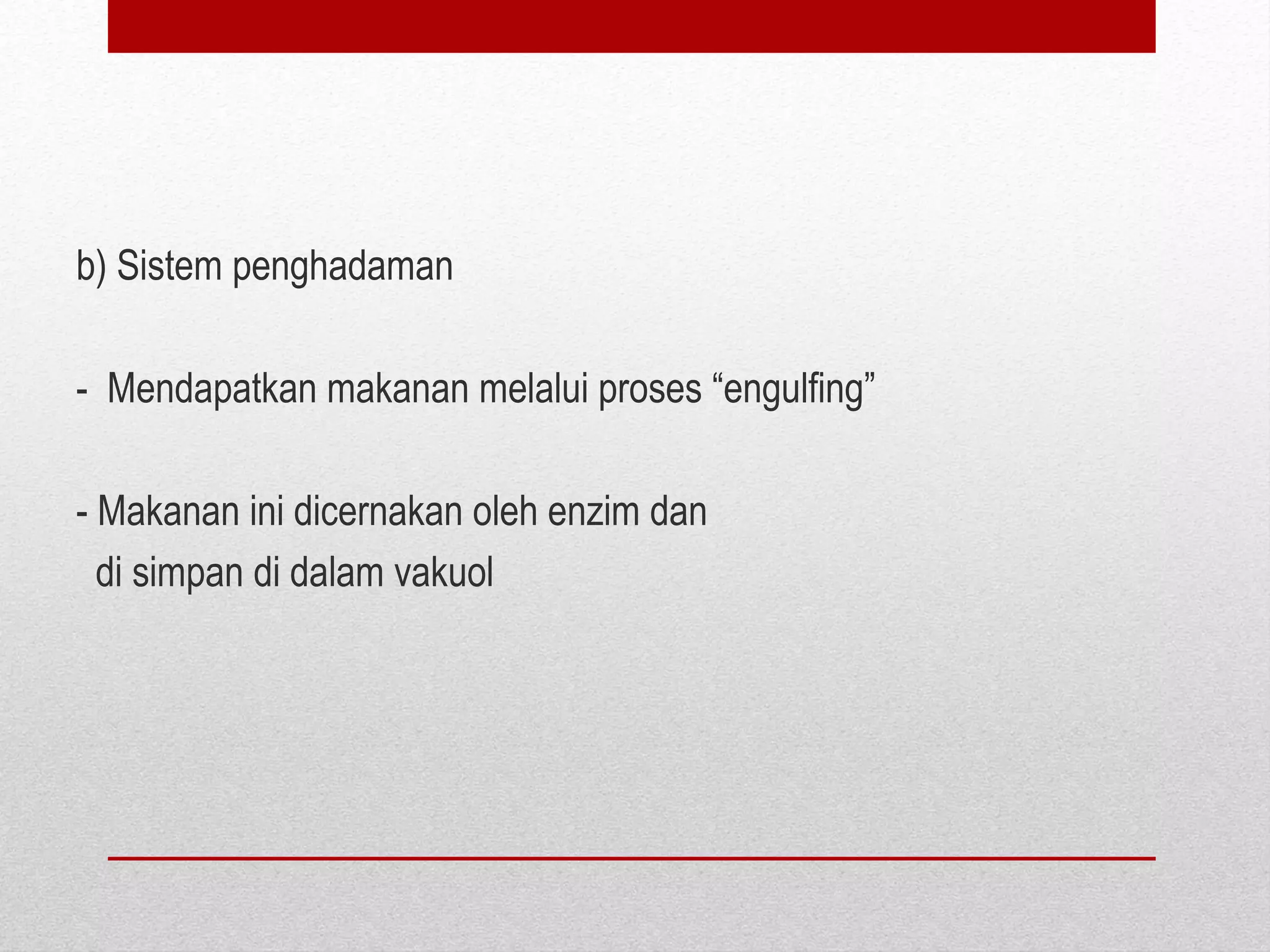 b) Sistem penghadaman
- Mendapatkan makanan melalui proses “engulfing”
- Makanan ini dicernakan oleh enzim dan
di simpan di dalam vakuol
 