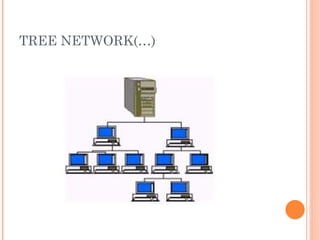 TREE NETWORK(…)
 