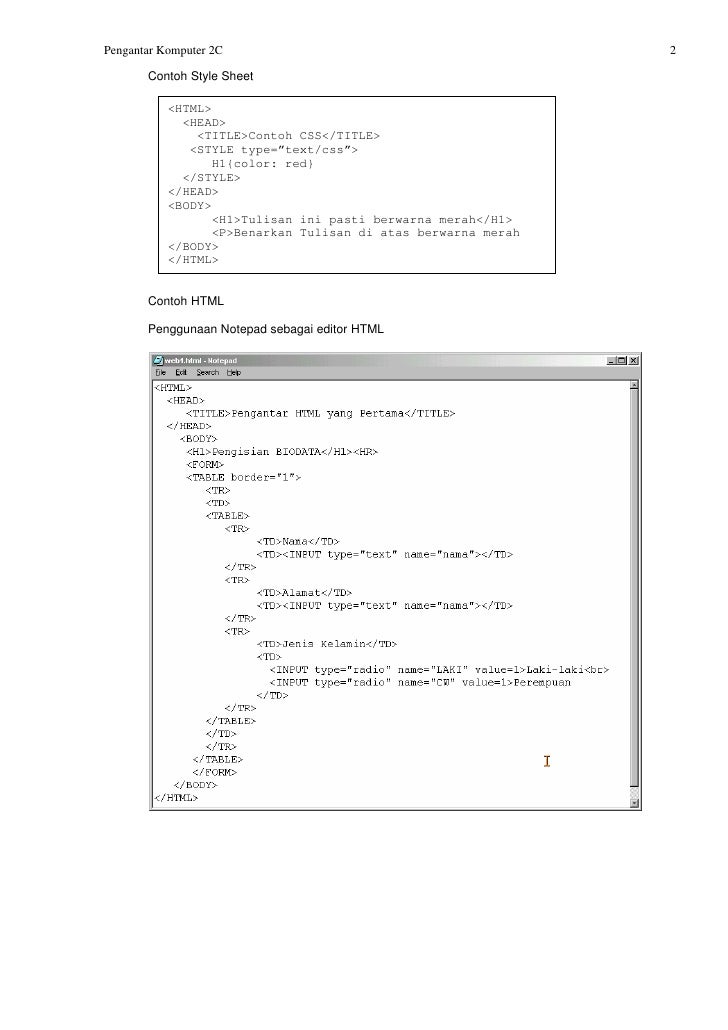 Pengenalan web design dan programming