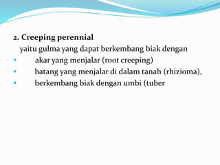 2. Creeping perennial
yaitu gulma yang dapat berkembang biak dengan
 akar yang menjalar (root creeping)
 batang yang menjalar di dalam tanah (rhizioma),
 berkembang biak dengan umbi (tuber
 