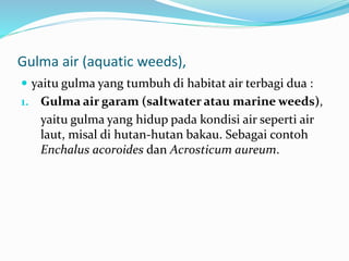 Gulma air (aquatic weeds),
 yaitu gulma yang tumbuh di habitat air terbagi dua :
1. Gulma air garam (saltwater atau marine weeds),
yaitu gulma yang hidup pada kondisi air seperti air
laut, misal di hutan-hutan bakau. Sebagai contoh
Enchalus acoroides dan Acrosticum aureum.
 