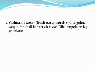 2. Gulma air tawar (fresh water weeds), yaitu gulma
yang tumbuh di habitat air tawar. Dikelompokkan lagi
ke dalam:
 