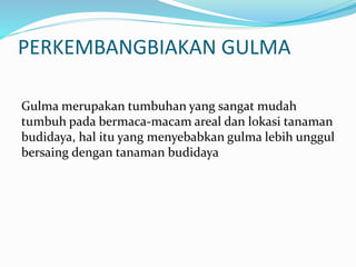 PERKEMBANGBIAKAN GULMA
Gulma merupakan tumbuhan yang sangat mudah
tumbuh pada bermaca-macam areal dan lokasi tanaman
budidaya, hal itu yang menyebabkan gulma lebih unggul
bersaing dengan tanaman budidaya
 