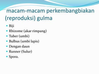 macam-macam perkembangbiakan
(reproduksi) gulma
 Biji
 Rhizome (akar rimpang)
 Tuber (umbi)
 Bulbus (umbi lapis)
 Dengan daun
 Runner (Sulur)
 Spora.
 