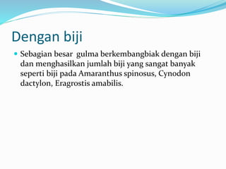 Dengan biji
 Sebagian besar gulma berkembangbiak dengan biji
dan menghasilkan jumlah biji yang sangat banyak
seperti biji pada Amaranthus spinosus, Cynodon
dactylon, Eragrostis amabilis.
 