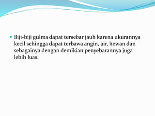  Biji-biji gulma dapat tersebar jauh karena ukurannya
kecil sehingga dapat terbawa angin, air, hewan dan
sebagainya dengan demikian penyebarannya juga
lebih luas.
 