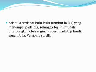  Adapula terdapat bulu-bulu (rambut halus) yang
menempel pada biji, sehingga biji ini mudah
diterbangkan oleh angina, seperti pada biji Emilia
sonchifolia, Vernonia sp, dll.
 