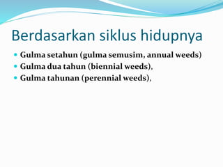 Berdasarkan siklus hidupnya
 Gulma setahun (gulma semusim, annual weeds)
 Gulma dua tahun (biennial weeds),
 Gulma tahunan (perennial weeds),
 