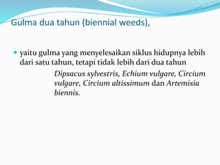 Gulma dua tahun (biennial weeds),
 yaitu gulma yang menyelesaikan siklus hidupnya lebih
dari satu tahun, tetapi tidak lebih dari dua tahun
Dipsacus sylvestris, Echium vulgare, Circium
vulgare, Circium altissimum dan Artemisia
biennis.
 