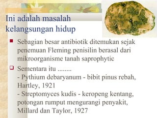 Ini adalah masalah
kelangsungan hidup
 Sebagian besar antibiotik ditemukan sejak
penemuan Fleming penisilin berasal dari
mikroorganisme tanah saprophytic
 Sementara itu ........
- Pythium debaryanum - bibit pinus rebah,
Hartley, 1921
- Streptomyces kudis - keropeng kentang,
potongan rumput mengurangi penyakit,
Millard dan Taylor, 1927
 