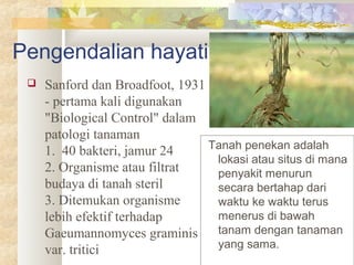 Pengendalian hayati
 Sanford dan Broadfoot, 1931
- pertama kali digunakan
"Biological Control" dalam
patologi tanaman
1. 40 bakteri, jamur 24
2. Organisme atau filtrat
budaya di tanah steril
3. Ditemukan organisme
lebih efektif terhadap
Gaeumannomyces graminis
var. tritici
Tanah penekan adalah
lokasi atau situs di mana
penyakit menurun
secara bertahap dari
waktu ke waktu terus
menerus di bawah
tanam dengan tanaman
yang sama.
 
