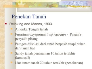 Penekan Tanah
 Reinking and Manns, 1933
 Amerika Tengah tanah
 Fusarium oxysporum f. sp. cubense - Panama
penyakit pisang
 Patogen diisolasi dari tanah berpasir tetapi bukan
dari tanah liat
 Sandy tanah penanaman 10 tahun terakhir
(kondusif)
 Liat tanam tanah 20 tahun terakhir (penekanan)
 