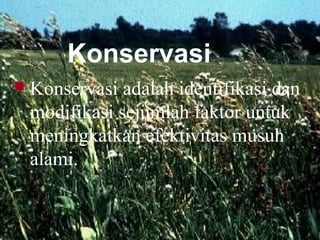 Konservasi
 Konservasi adalah identifikasi dan
modifikasi sejumlah faktor untuk
meningkatkan efektivitas musuh
alami.
 