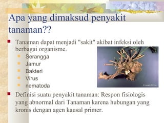 Apa yang dimaksud penyakit
tanaman??
 Tanaman dapat menjadi "sakit" akibat infeksi oleh
berbagai organisme.
 Serangga
 Jamur
 Bakteri
 Virus
 nematoda
 Definisi suatu penyakit tanaman: Respon fisiologis
yang abnormal dari Tanaman karena hubungan yang
kronis dengan agen kausal primer.
 