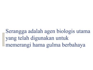 Serangga adalah agen biologis utama
yang telah digunakan untuk
memerangi hama gulma berbahaya
 