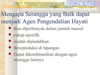 Mengapa Serangga yang Baik dapat
menjadi Agen Pengendalian Hayati
 Bisa diperbanyak dalam jumlah massal
 cukup spesifik
 mudah dipindahkan
 Bereproduksi di lapangan
 Dapat dikombinasikan dengan agen
serangga lainnya
 