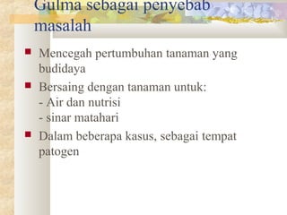 Gulma sebagai penyebab
masalah
 Mencegah pertumbuhan tanaman yang
budidaya
 Bersaing dengan tanaman untuk:
- Air dan nutrisi
- sinar matahari
 Dalam beberapa kasus, sebagai tempat
patogen
 