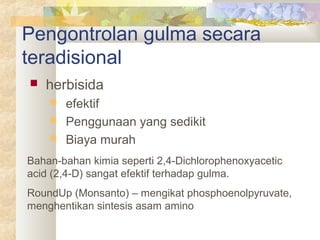 Pengontrolan gulma secara
teradisional
 herbisida
 efektif
 Penggunaan yang sedikit
 Biaya murah
Bahan-bahan kimia seperti 2,4-Dichlorophenoxyacetic
acid (2,4-D) sangat efektif terhadap gulma.
RoundUp (Monsanto) – mengikat phosphoenolpyruvate,
menghentikan sintesis asam amino
 
