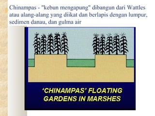 Chinampas - "kebun mengapung" dibangun dari Wattles
atau alang-alang yang diikat dan berlapis dengan lumpur,
sedimen danau, dan gulma air
 