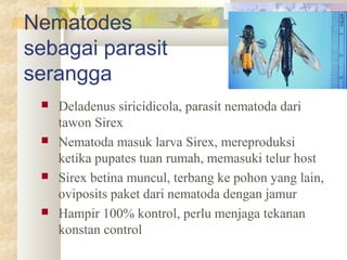 Nematodes
sebagai parasit
serangga
 Deladenus siricidicola, parasit nematoda dari
tawon Sirex
 Nematoda masuk larva Sirex, mereproduksi
ketika pupates tuan rumah, memasuki telur host
 Sirex betina muncul, terbang ke pohon yang lain,
oviposits paket dari nematoda dengan jamur
 Hampir 100% kontrol, perlu menjaga tekanan
konstan control
 