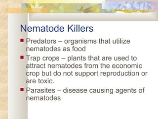 Nematode Killers
 Predators – organisms that utilize
nematodes as food
 Trap crops – plants that are used to
attract nematodes from the economic
crop but do not support reproduction or
are toxic.
 Parasites – disease causing agents of
nematodes
 