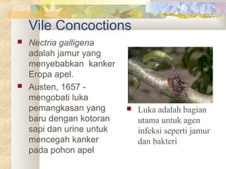 Vile Concoctions
 Nectria galligena
adalah jamur yang
menyebabkan kanker
Eropa apel.
 Austen, 1657 -
mengobati luka
pemangkasan yang
baru dengan kotoran
sapi dan urine untuk
mencegah kanker
pada pohon apel
 Luka adalah bagian
utama untuk agen
infeksi seperti jamur
dan bakteri
 