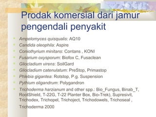 Prodak komersial dari jamur
pengendali penyakit
 Ampelomyces quisqualis: AQ10
 Candida oleophila: Aspire
 Coniothyrium minitans: Contans , KONI
 Fusarium oxysporum: Biofox C, Fusaclean
 Gliocladium virens: SoilGard
 Gliocladium catenulatum: PreStop, Primastop
 Phlebia gigantea: Rotstop, P.g. Suspension
 Pythium oligandrum: Polygandron
 Trichoderma harzianum and other spp.: Bio_Fungus, Binab_T,
RootShield, T-22G, T-22 Planter Box, Bio-Trek), Supresivit,
Trichodex, Trichopel, Trichoject, Trichodowels, Trichoseal ,
Trichoderma 2000
 