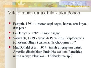 Vile ramuan untuk luka-luka Pohon
 Forsyth, 1791 - kotoran sapi segar, kapur, abu kayu,
dan pasir
 Le Barryais, 1785 - lumpur segar
 Weidlich, 1979 - tanah di Parasitica Cryptonectria
(Chestnut Blight) cankers, Trichoderma sp.?
 MacDonald et al., 1979 - tanah diterapkan untuk
Amerika disebabkan Endothia cankers Parasitica
untuk menyembuhkan - Trichoderma sp.?
 