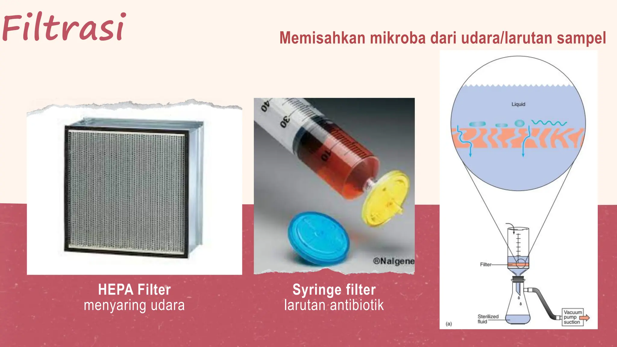 Filter Infeksius Pengendalian Mikroba Mikrobiologi Farmasi | PDF
