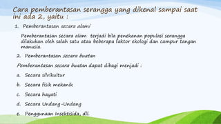 Cara pemberantasan serangga yang dikenal sampai saat
ini ada 2, yaitu :
1. Pemberantasan secara alami
Pemberantasan secara alam terjadi bila penekanan populasi serangga
dilakukan oleh salah satu atau beberapa faktor ekologi dan campur tangan
manusia.
2. Pemberantasan secara buatan
Pemberantasan secara buatan dapat dibagi menjadi :
a. Secara silvikultur
b. Secara fisik mekanik
c. Secara hayati
d. Secara Undang-Undang
e. Penggunaan Insektisida, dll.
 